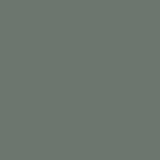 Salvija zaļš 5406 M PP 10 mm, Akrila plātnes 10 mm