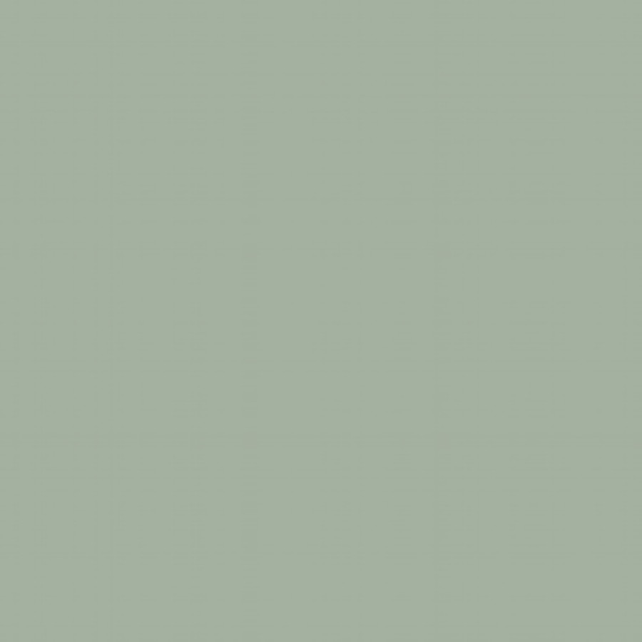 3-3611.jpg Agave luxe - Image 1